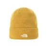 The North FaceNorm Beanie 8